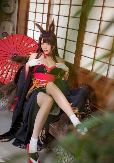蓝猫龙骑团之生命之花_DVD免费观看超清