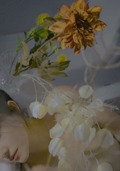 性8se春暖花开旧版入口_1080日韩免费观看